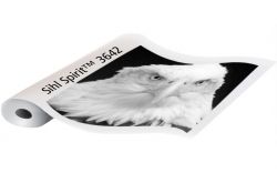 Sihl 3642 Spirit II Screen Positive Film 36