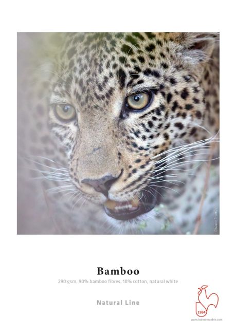 Hahnemühle Bamboo 290 gsm 36'' x 39' 