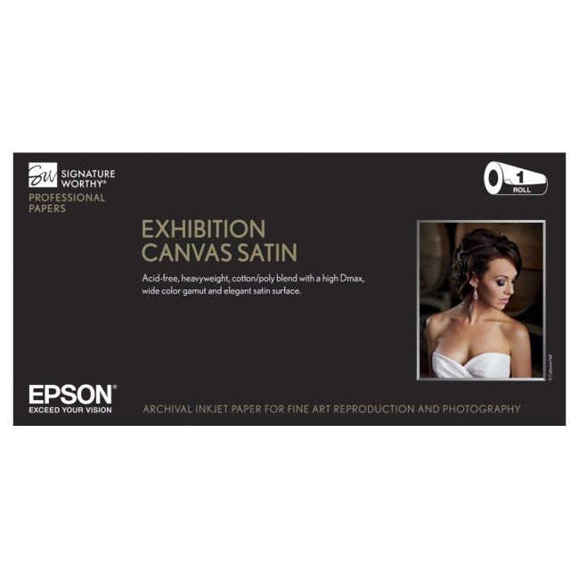 Epson Exhibition Canvas Satin S045248 13