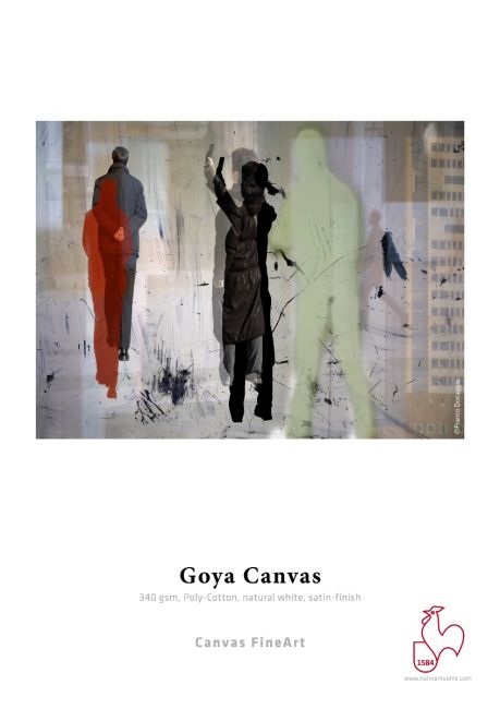 Hahnemühle Goya Canvas 340 gsm 24'' x 39'