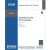 Epson Carolina Cover C1S 18 Point S045167 17